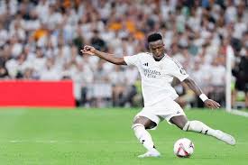 林诗栋组合 林诗栋组合